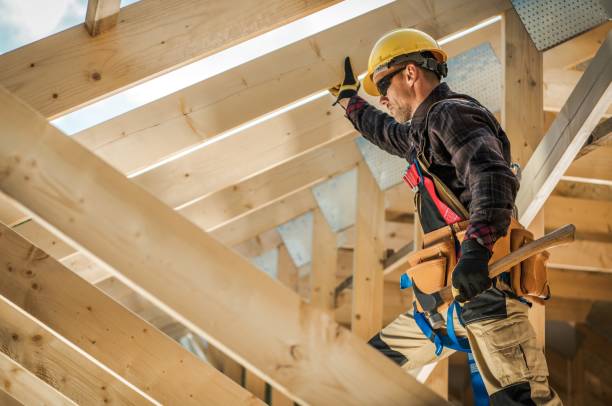 Best Roof Gutter Cleaning  in Frontenac, KS